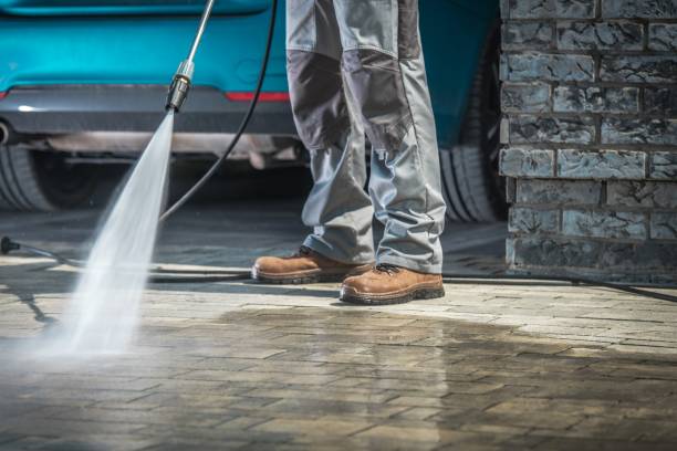 Best Rust Removal  in Crookston, MN