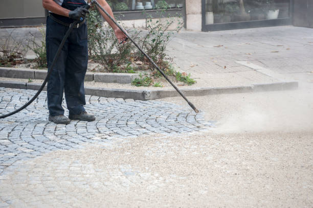 Best Dumpster Area Cleaning  in Crookston, MN