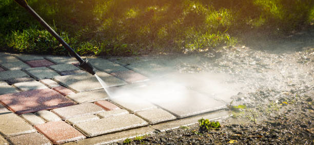 Best Solar Panel Cleaning  in Crookston, MN